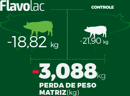 Infográfico da Perda de Peso das Matrizes