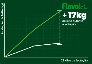 Infográfico da Produção de Leite