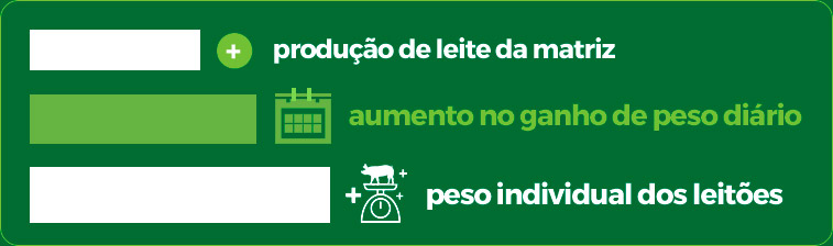 Infográfico Geral de Leitões