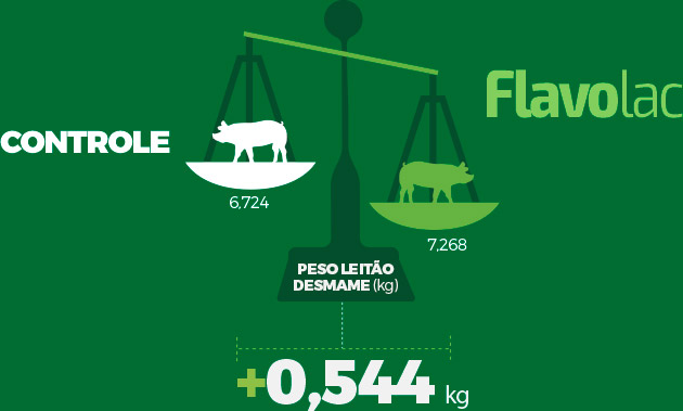 Infográfico: Peso Leitão Desmame